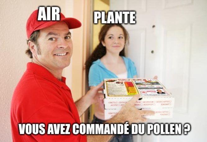 Un homme livre une pizza Ă  une femme.